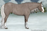 Horse Color:Silver Blue Roan Splash 