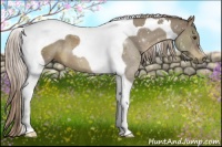 Horse Color:Chocolate Palomino Tobiano 