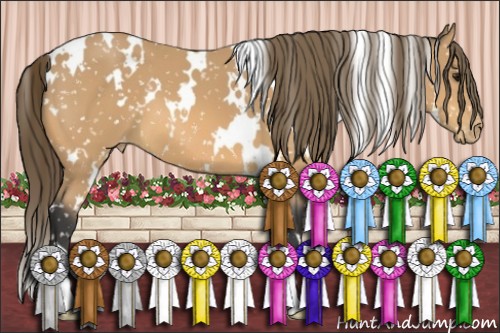Horse Color:White Spotted Buckskin Snowflake Varnish