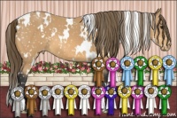 Horse Color:White Spotted Buckskin Snowflake Varnish 