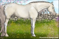 Horse Color:Chocolate Palomino Pearl Dun Tobiano 