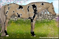 Horse Color:White Spotted Chocolate Palomino Dun 
