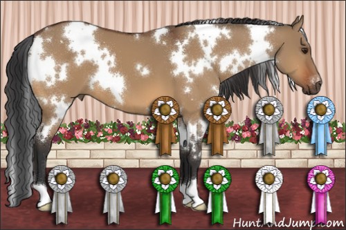 Horse Color:White Spotted Bay Dun 