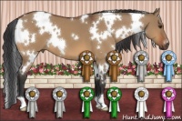 Horse Color:White Spotted Bay Dun 