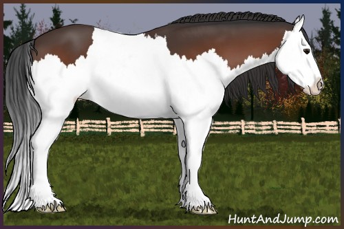 Horse Color:Brown Splash