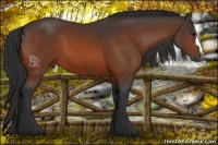 Horse Color:Brown 