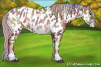 Horse Color:Nacre White Spotted Chocolate Silver Blue Onyx Near Leopard