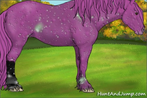 Horse Color:ERROR: UNKNOWN ANOMALY