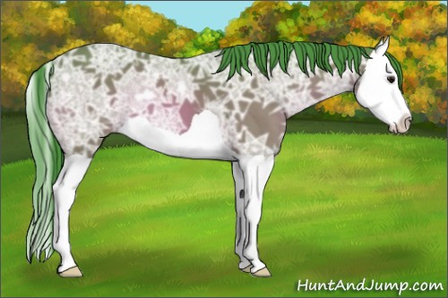 Horse Color:Watercolor Bay Ice Splash 