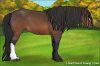 Horse Color:Brown 