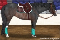 Horse Color:Brown Rabicano 