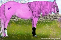 Horse Color:Watercolor Chestnut Splash 