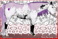 Horse Color:Watercolor Red Dun Splash