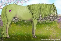 Horse Color:Watercolor Chestnut 