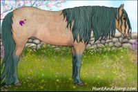 Horse Color:Watercolor Bay Roan 