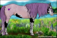 Horse Color:Watercolor Red Dun Splash 