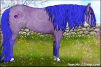Horse Color:Watercolor Grullo 