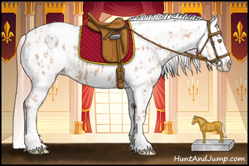 Horse Color:Gold Champagne Appaloosa  and Gold Champagne Appaloosa 