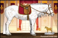 Horse Color:Gold Champagne Appaloosa  and Gold Champagne Appaloosa 