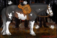 Horse Color:Brown Splash Frame