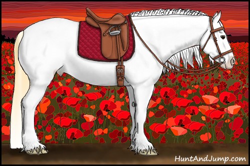 Horse Color:Buckskin Near Leopard 