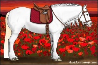 Horse Color:Buckskin Near Leopard 