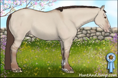 Horse Color:Classic Champagne Dun Sabino Rabicano 