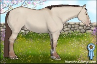 Horse Color:Classic Champagne Dun Sabino Rabicano