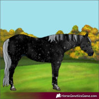 Horse Color:ERROR: UNKNOWN ANOMALY