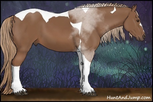 Horse Color:Chestnut Tobiano 