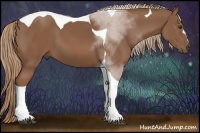Horse Color:Chestnut Tobiano