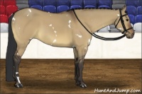 Horse Color:White Spotted Brown Dun 