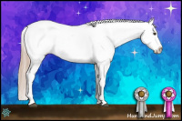 Horse Color:Chestnut Snowflake Varnish 