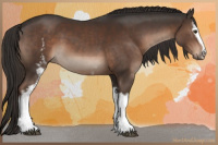 Horse Color:White Spotted Liver Chestnut Sabino
