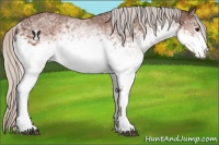 Horse Color:White Spotted Silver Brown 