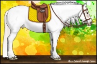 Horse Color:Silver Bay Dun Sabino Frame Rabicano 