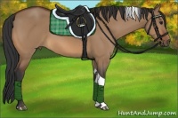 Horse Color:Bay Dun Tobiano 