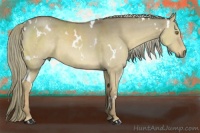 Horse Color:White Spotted Red Dun 