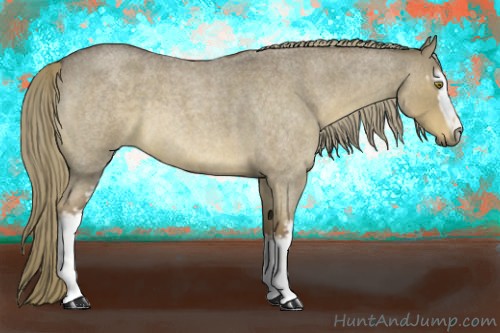 Horse Color:White Spotted Red Dun Roan 