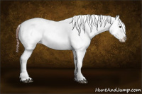 Horse Color:White Spotted Brown Roan Frame Near Fewspot Rabicano  and White Spotted Brown Tobiano Frame Near Fewspot Rabicano 
