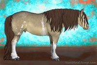 Horse Color:White Spotted Liver Red Dun 