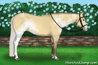 Horse Color:White Spotted Silver Buckskin Dun 