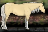 Horse Color:Silver Buckskin Dun Tobiano