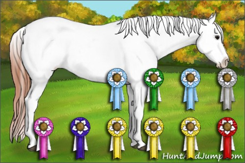 Horse Color:White Spotted Brown Frame Varnish Rabicano  and White Spotted Brown Splash Frame Varnish Rabicano 