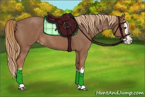 Horse Color:Red Roan Splash Varnish