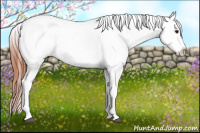 Horse Color:White Spotted Brown Frame Snowcap Rabicano and White Spotted Brown Frame Snowcap Rabicano