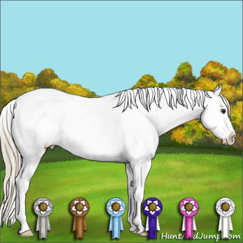 Horse Color:Red Roan Near Fewspot