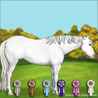Horse Color:Red Roan Appaloosa 