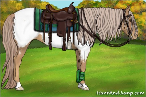 Horse Color:Palomino Near Fewspot 