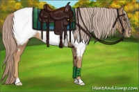 Horse Color:Palomino Near Fewspot 